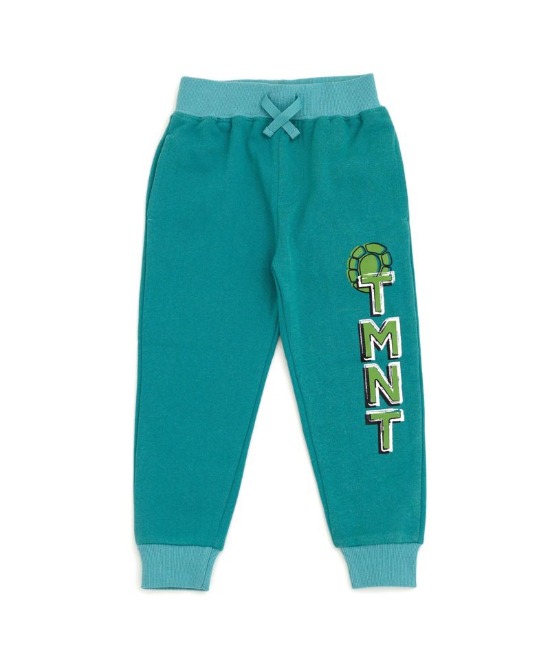 Little Boys Fleece Pullover Hoodie and Pants Outfit Set