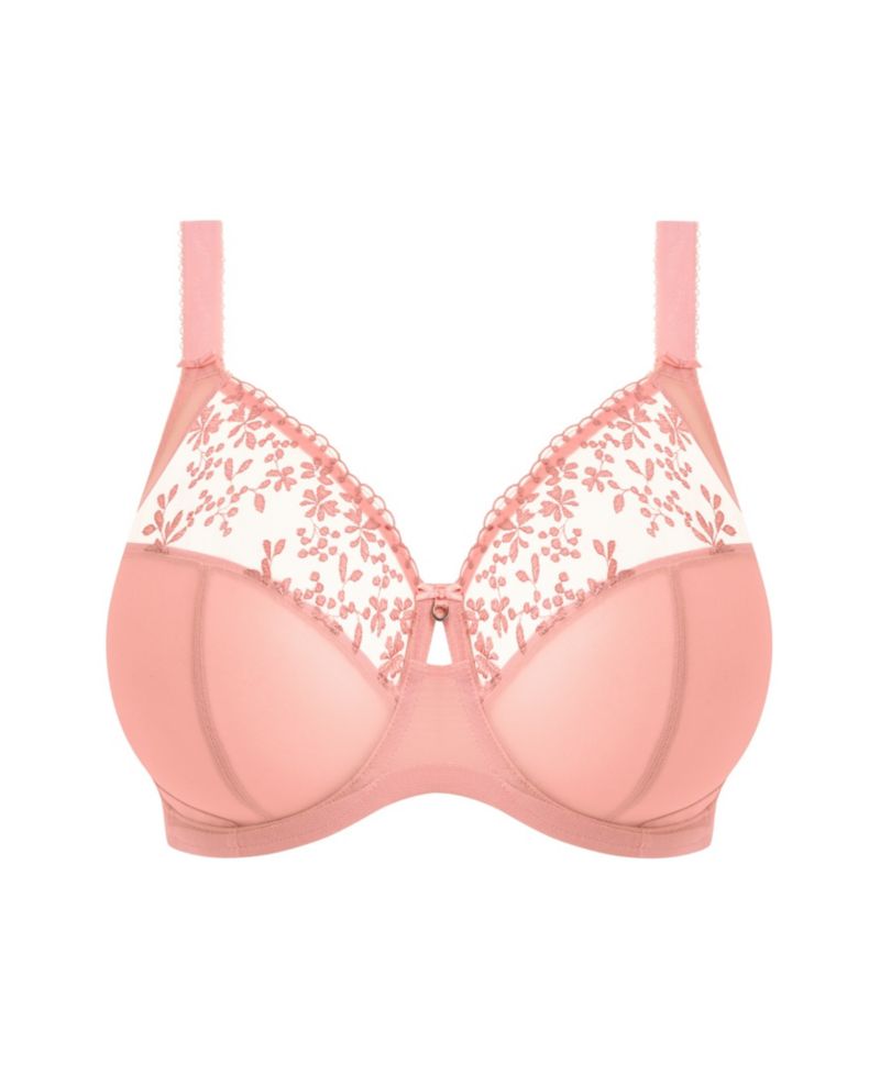 Plus Size Zarla Banded Underwire Stretch Lace Bra EL302505
