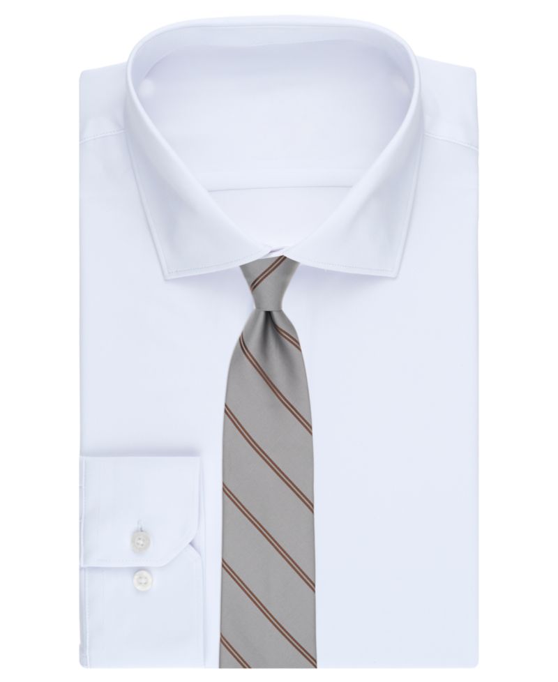 Men's Lotus Stripe Classic Tie
