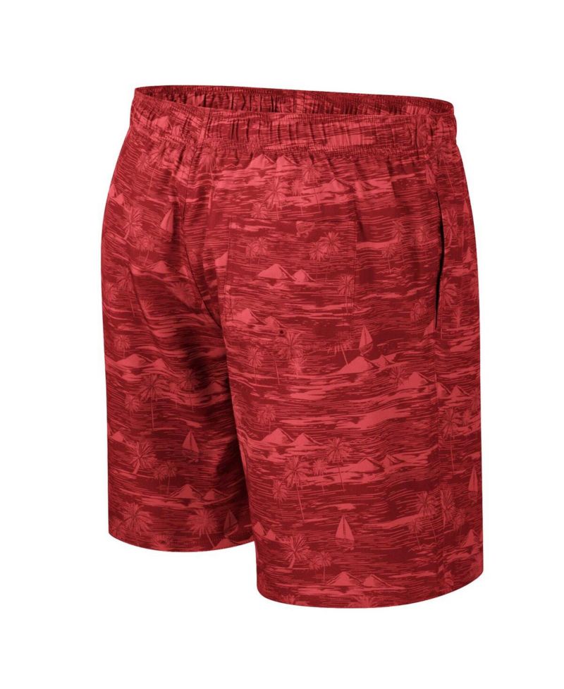 Men's Cardinal Arkansas Razorbacks Ozark Swim Shorts