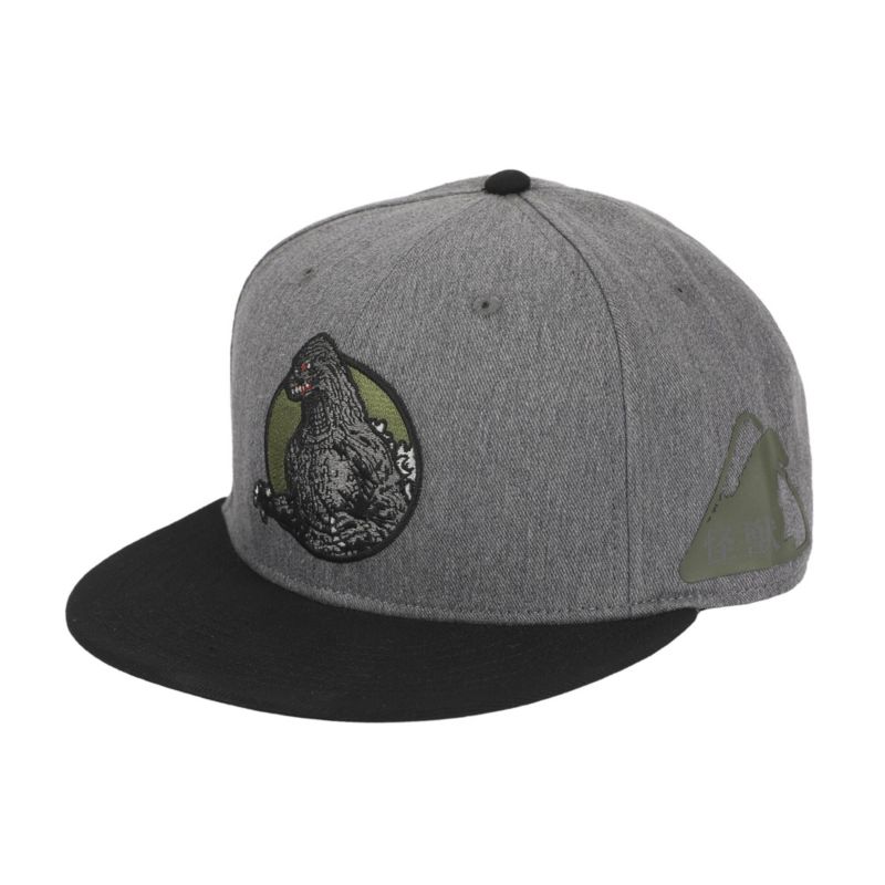 Men's Embroidery Cotton Twill B15 Snap Back Snapback