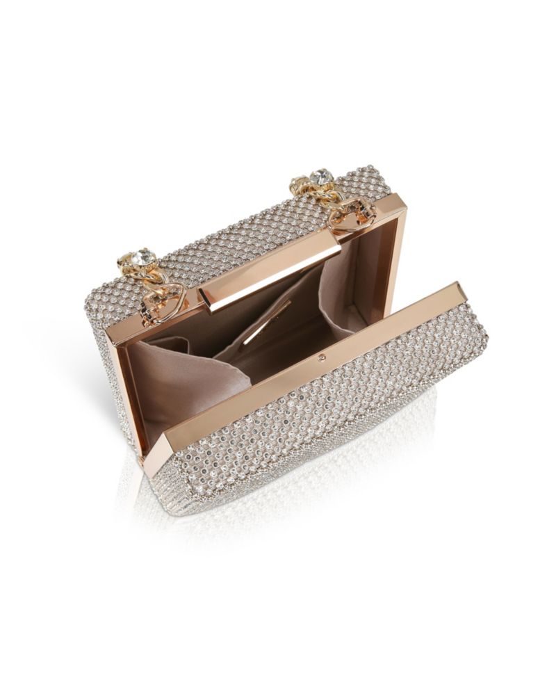 Woman's Billie Crystal Mini Box Clutch