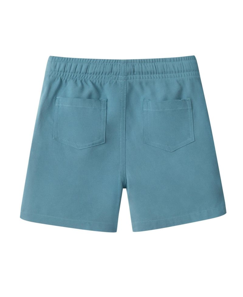 Toddler Boys Toddler/Child Teal Striped Buttondown and Linen Shorts Set
