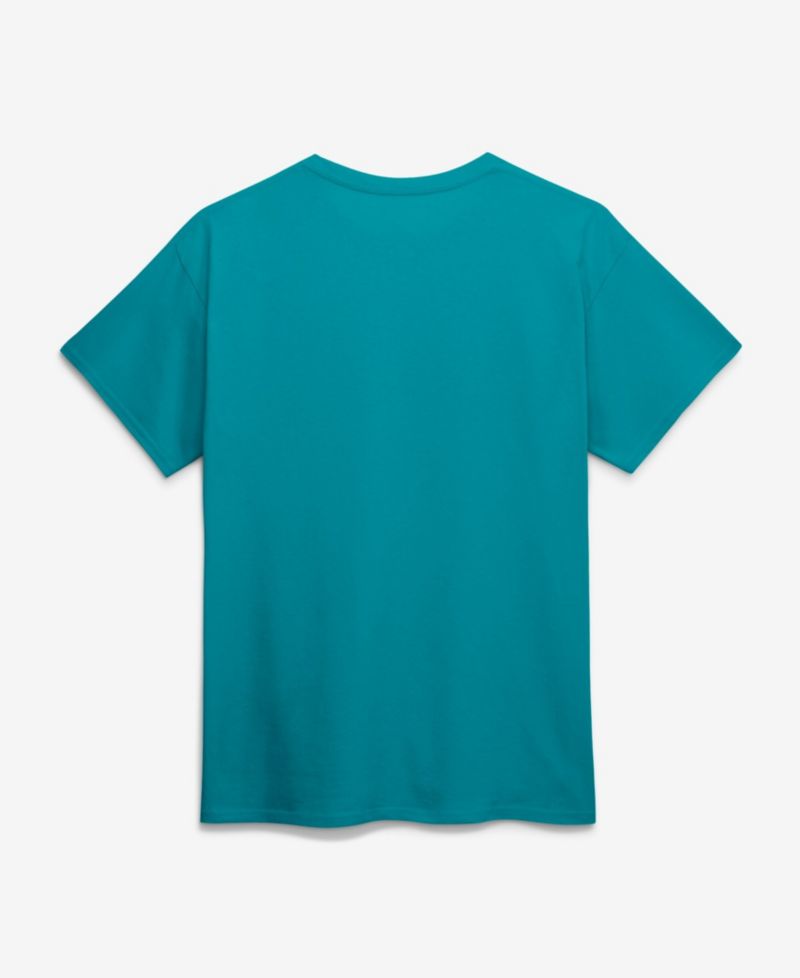 Men's Aqua Miami Dolphins Cotton Victory Arch T-Shirt