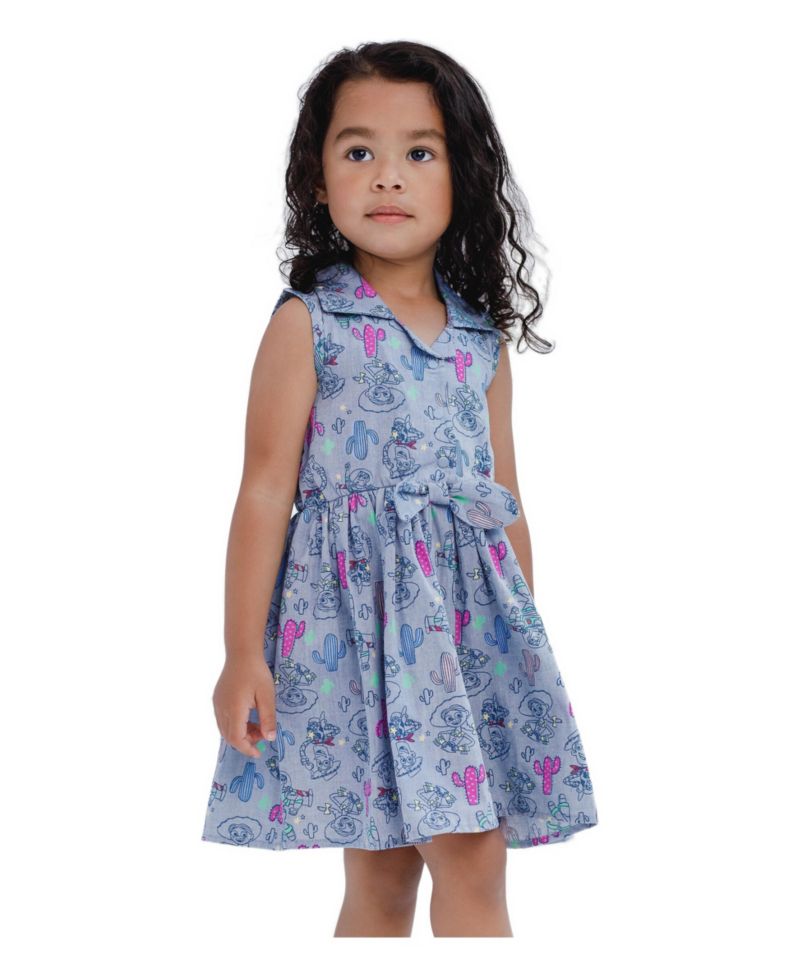 Toddler Girls 2T-5T Chambray Skater Dress