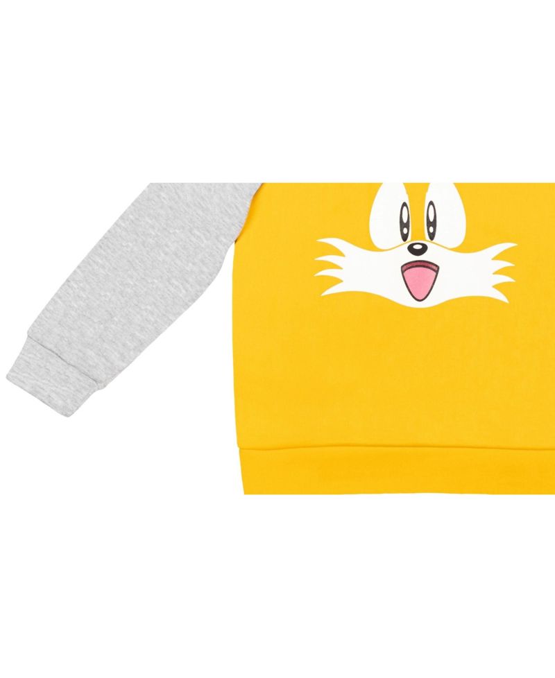 Boys Sonic the Hedgehog Fleece Pullover Hoodie