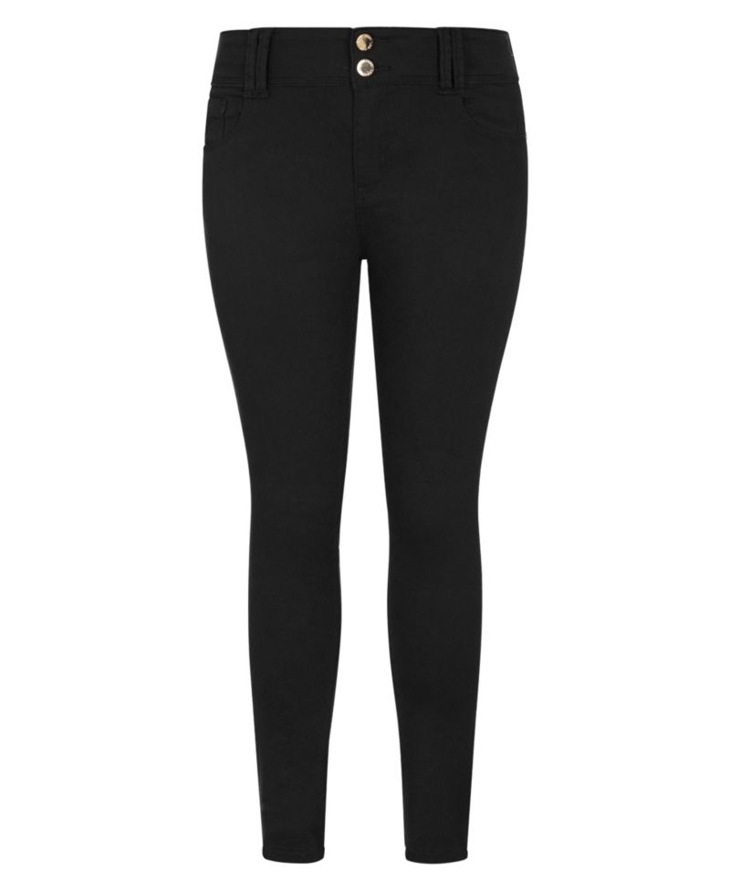Plus Size Asha Fit Skinny Leg Regular Jean