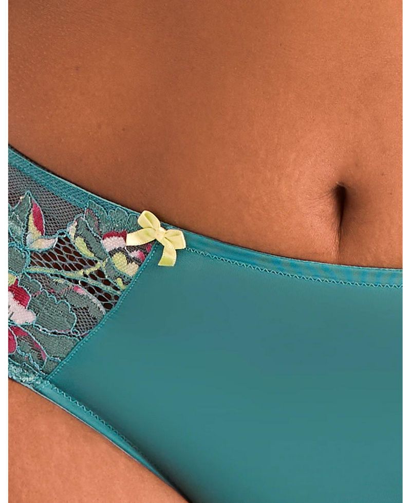 Plus Size Chelsi Hipster Panty