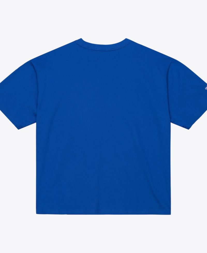 Women's Royal Philadelphia 76ers Hardwood Classics Head Coach T-Shirt