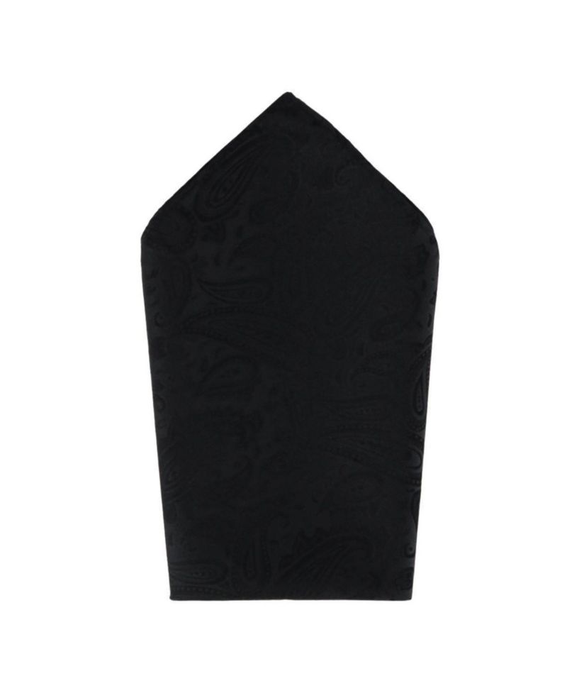Men's Banbury Tone on Tone Paisley Silk Necktie and Pocket Square Set