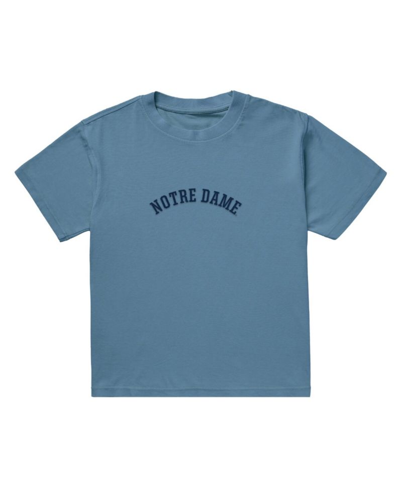 Men's Light Blue Notre Dame Fighting Irish Upside Down Embroidered Vintage Heavyweight T-Shirt
