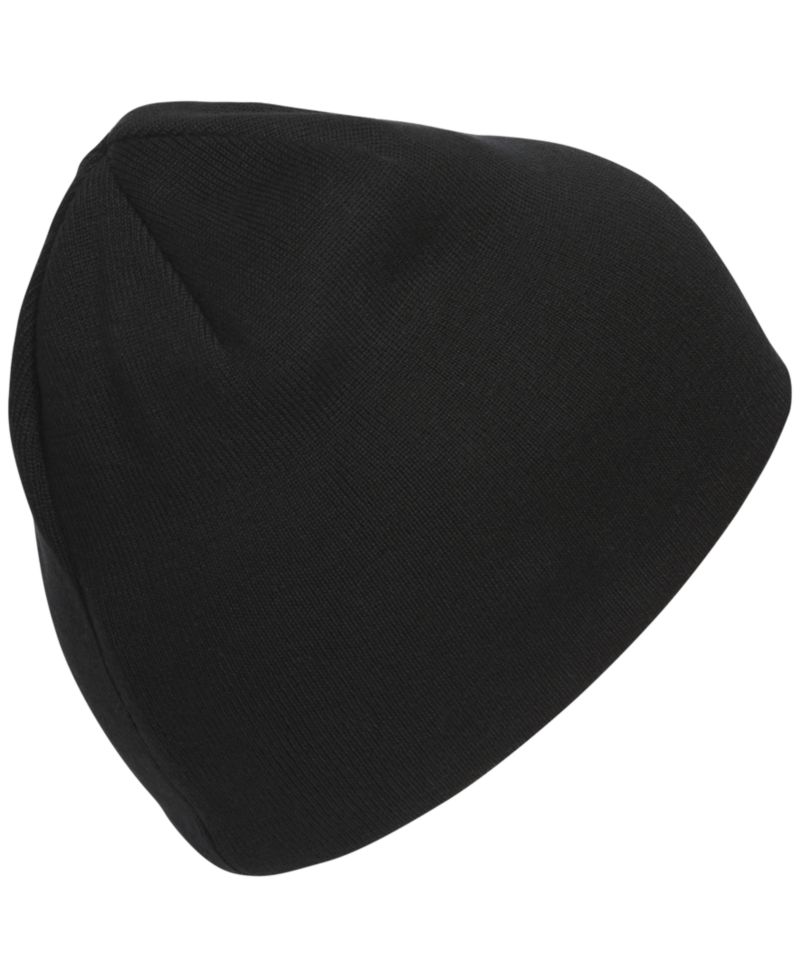 Men's Reversible Skully Beanie