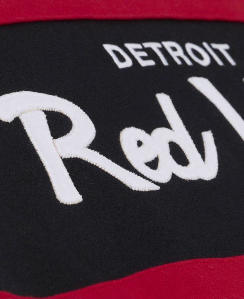 Men's Black Detroit Red Wings Head Coach Hoodie