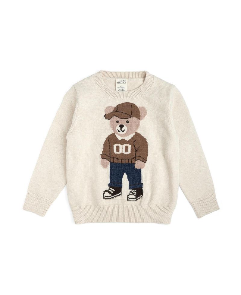Little Boys Teddy Bear Sweater