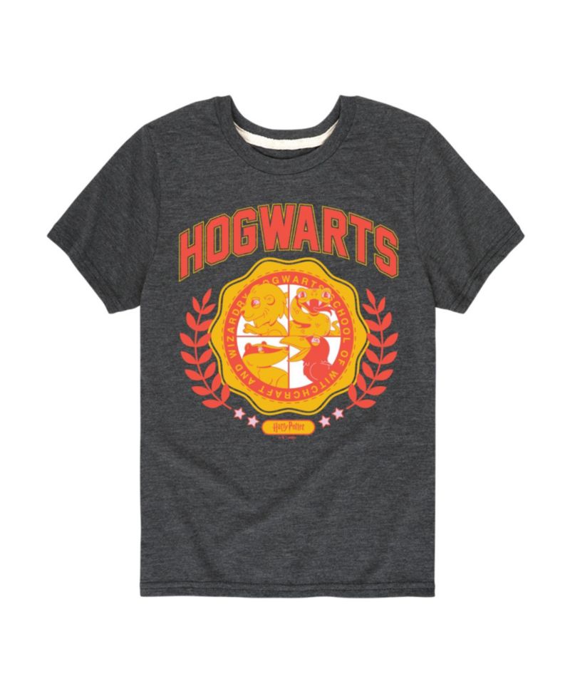 Big Boys Harry Potter Hogwarts Graphic Tee
