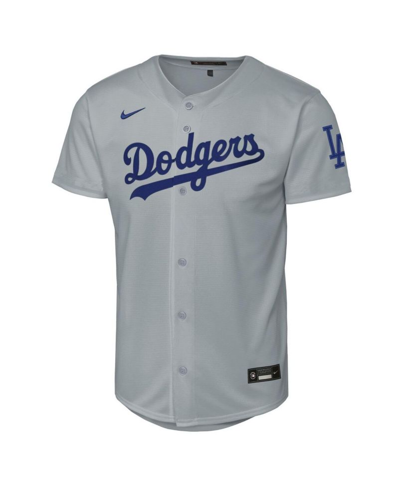 Big Boys and Girls Gray Los Angeles Dodgers Alternate Stadium Jersey