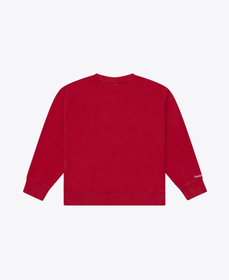 Men's Scarlet San Francisco 49ers Core Essentials Micro Logo Fleece Sweatshirt