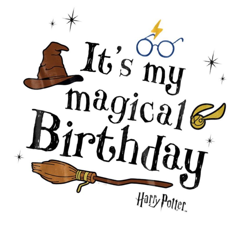 Men's It's My Magical Birthday T Shirt