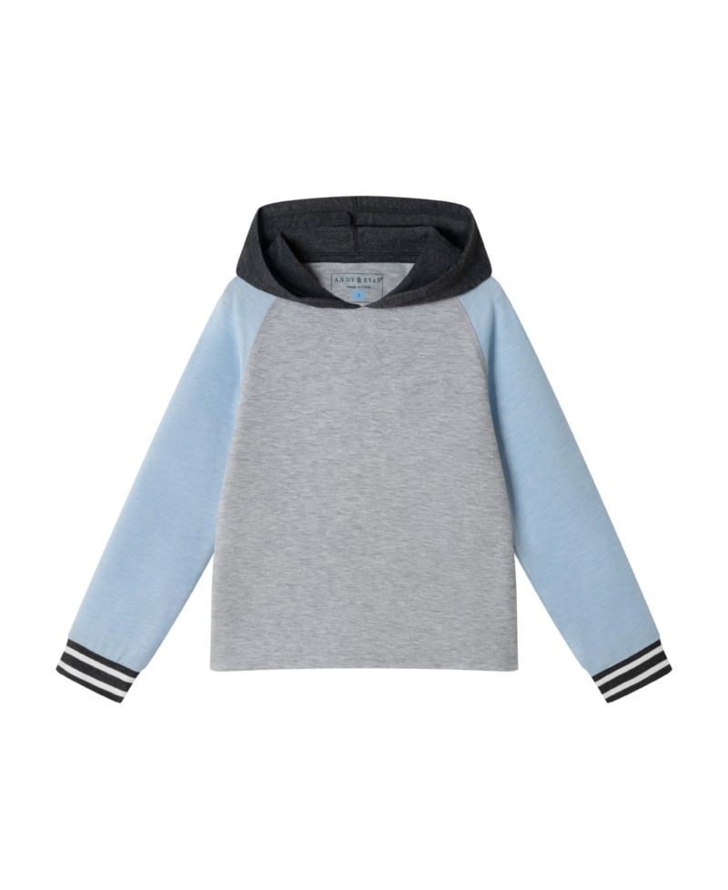 Big Boys Toddler/Child Lt Blue Raglan Hooded Tee