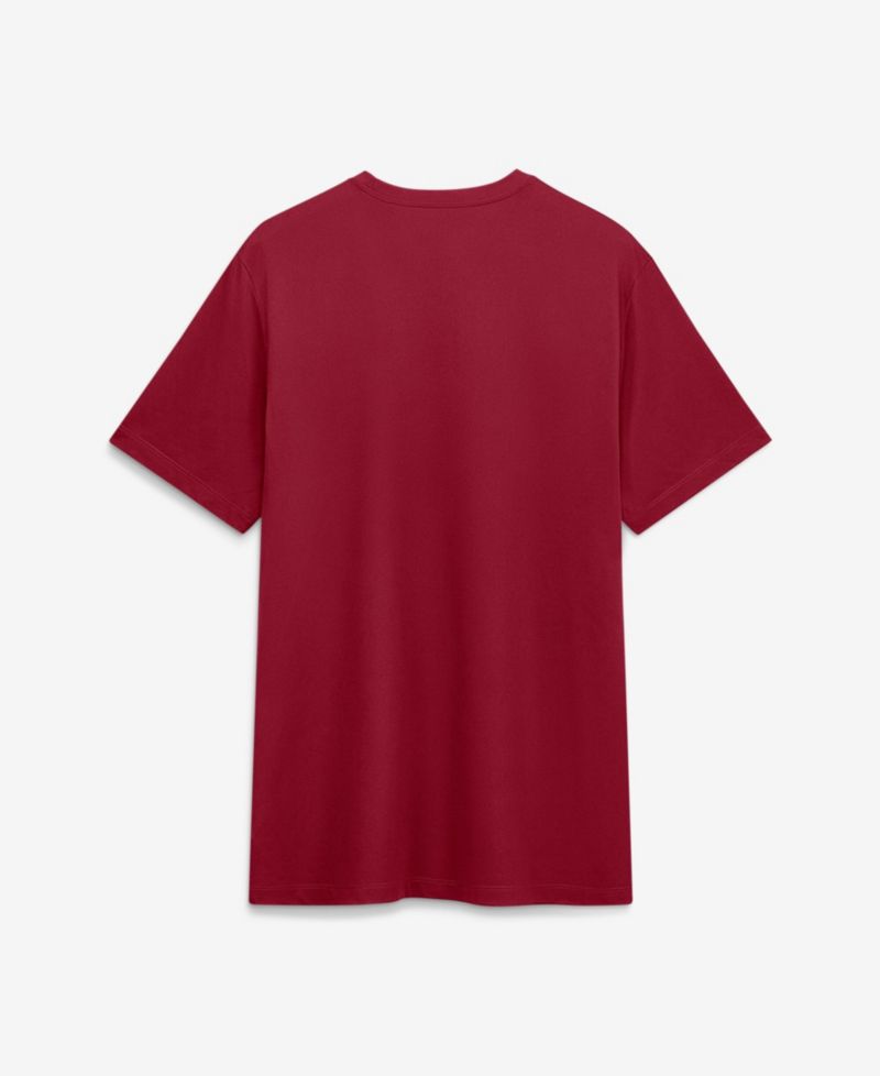 Men's Crimson Alabama Crimson Tide Sideline Legend Dri-FIT T-Shirt