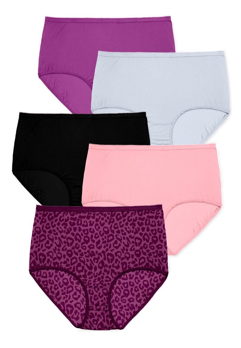 Women's 5-Pack Classic Silky Nylon Brief