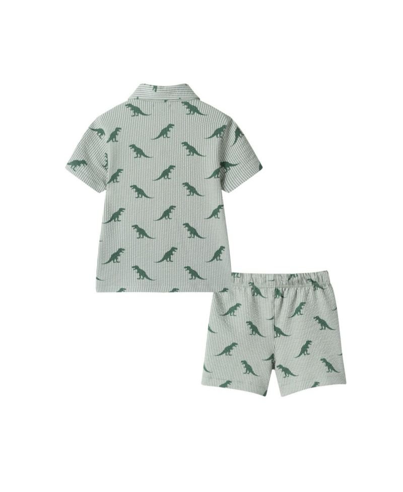 Little Boys Stripe Dino Short Sleeve Cabana Set