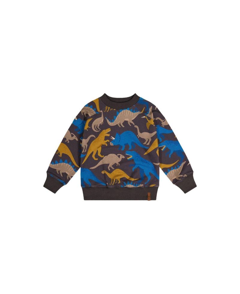 Little Boys (6-12) Fleece Sweatshirt