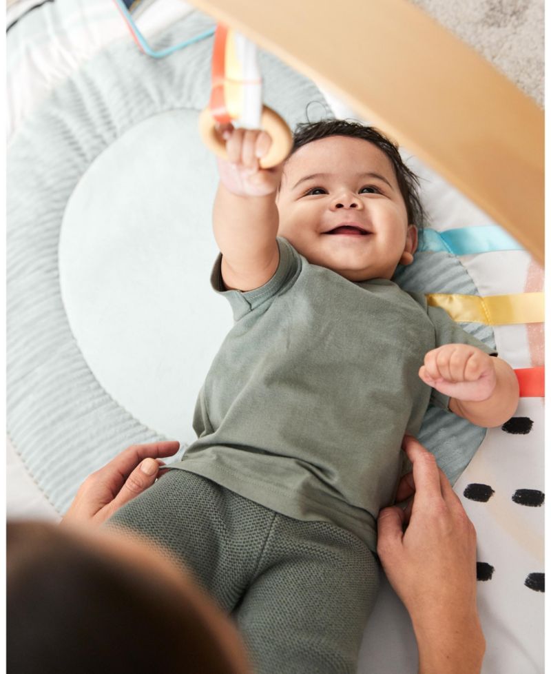 Discoverosity Play Gym