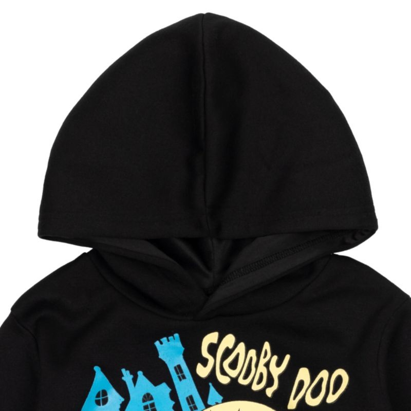 Boys Warner Bros. Fleece Pullover Hoodie