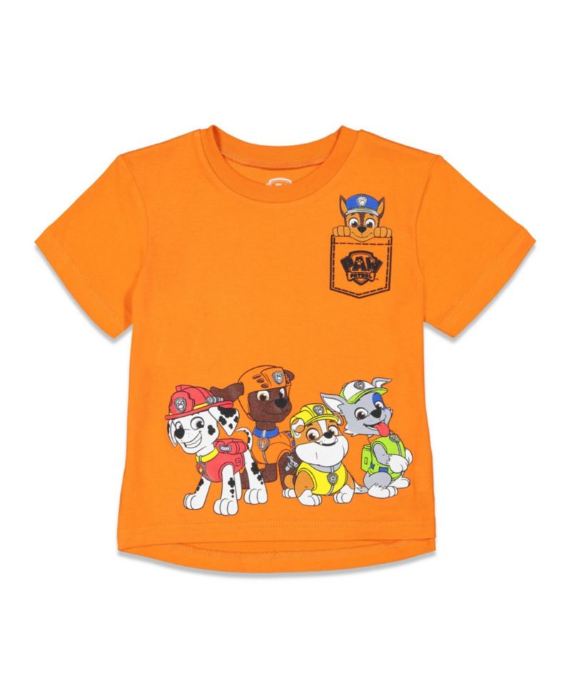 Little Boys 2-Piece T-Shirt and Shorts Set