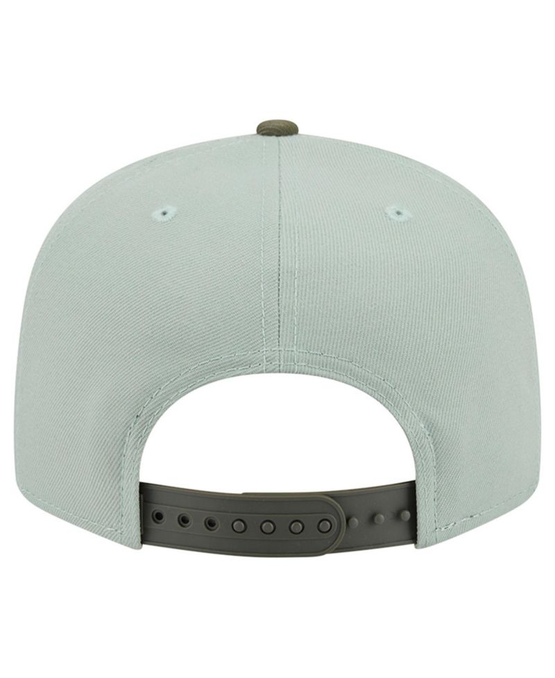 Men's Sage Green/Olive Chicago Blackhawks Color Pack 9FIFTY Snapback Hat