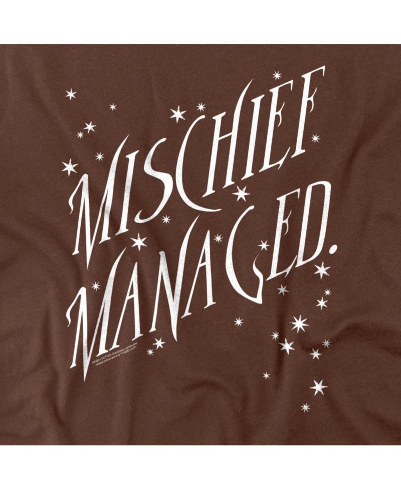 Men's Mischief Managed 4 T-Shirt