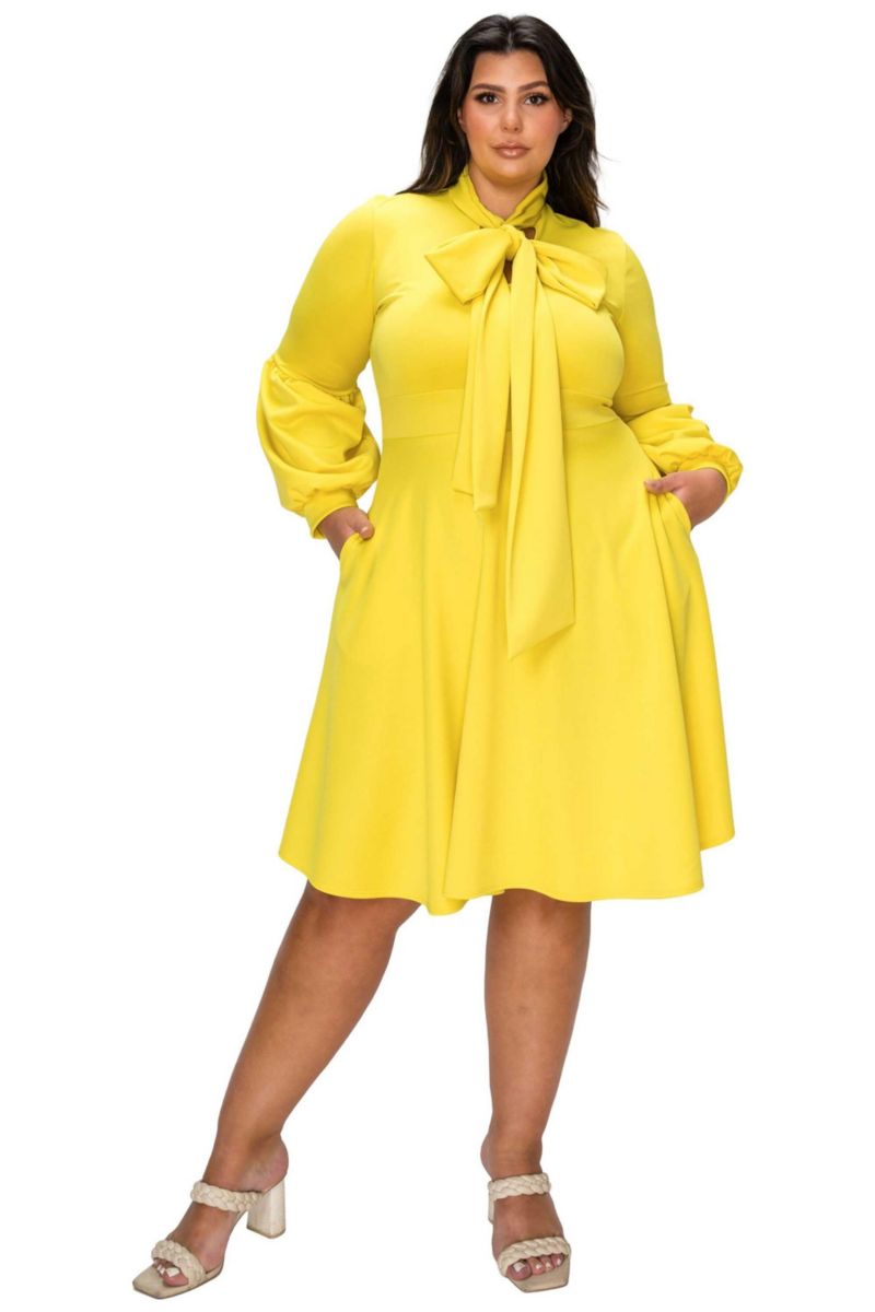 Plus Size Bekah Flare Pocket Dress