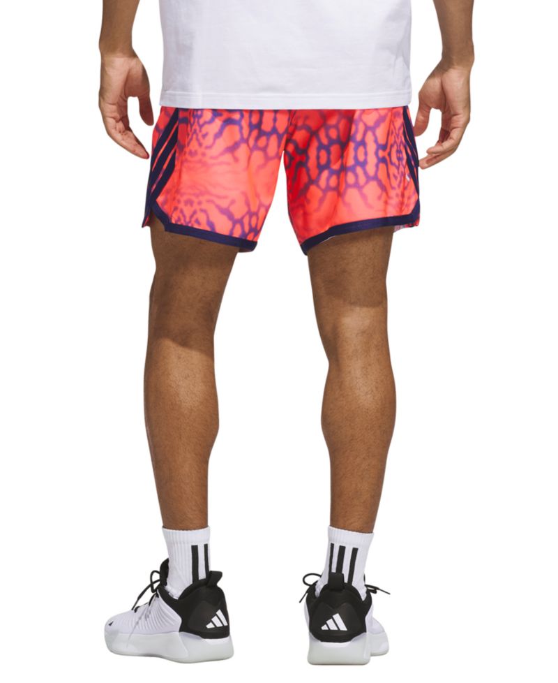 Men's Crazylite Graphic Shorts