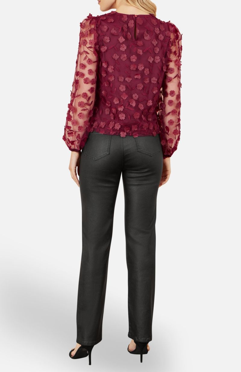 Women's Sheer Sleeve Applique Top