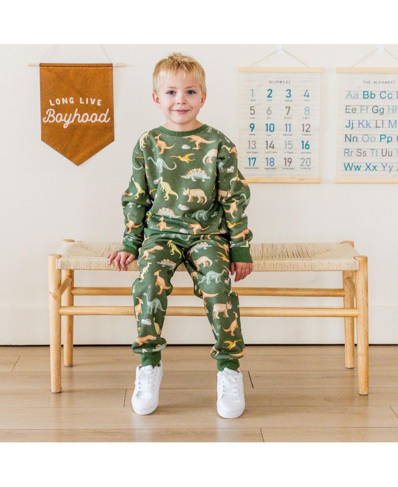 Big Boys (10-12) Dinosaurs Rock Sweatshirt