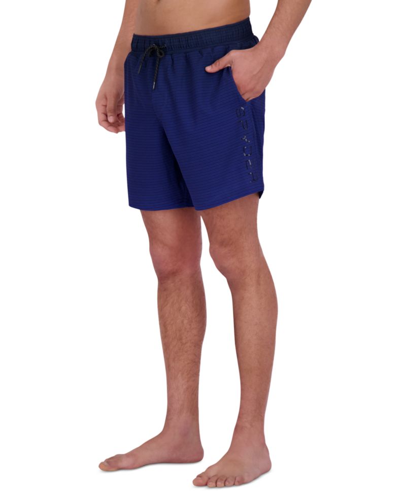 Men's Gradient Stripe Printed 7" Volley Swimsuit