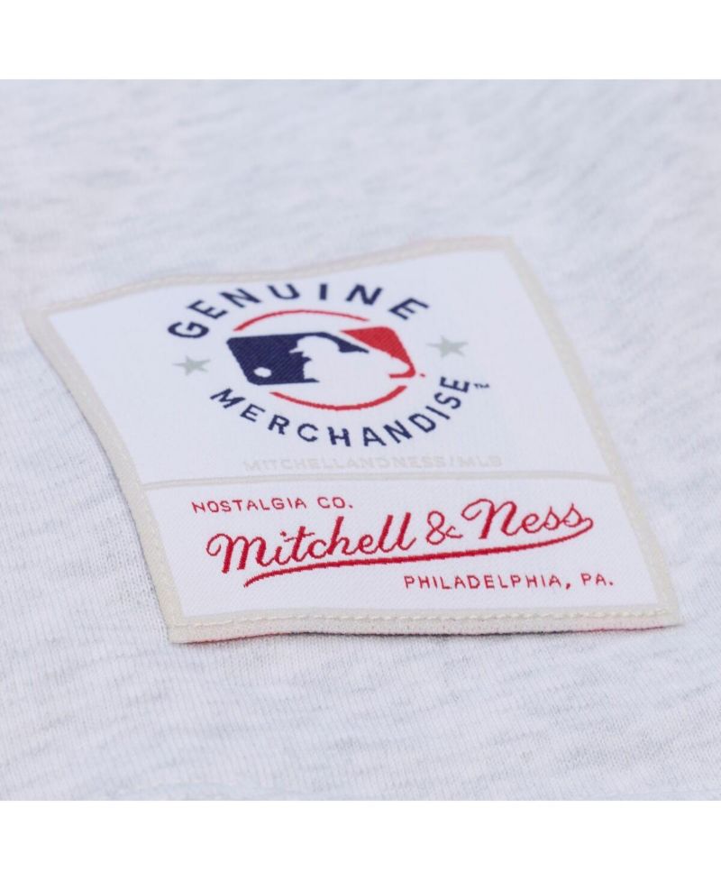 Women's Heather Gray Philadelphia Phillies Script Cropped Boxy T-Shirt