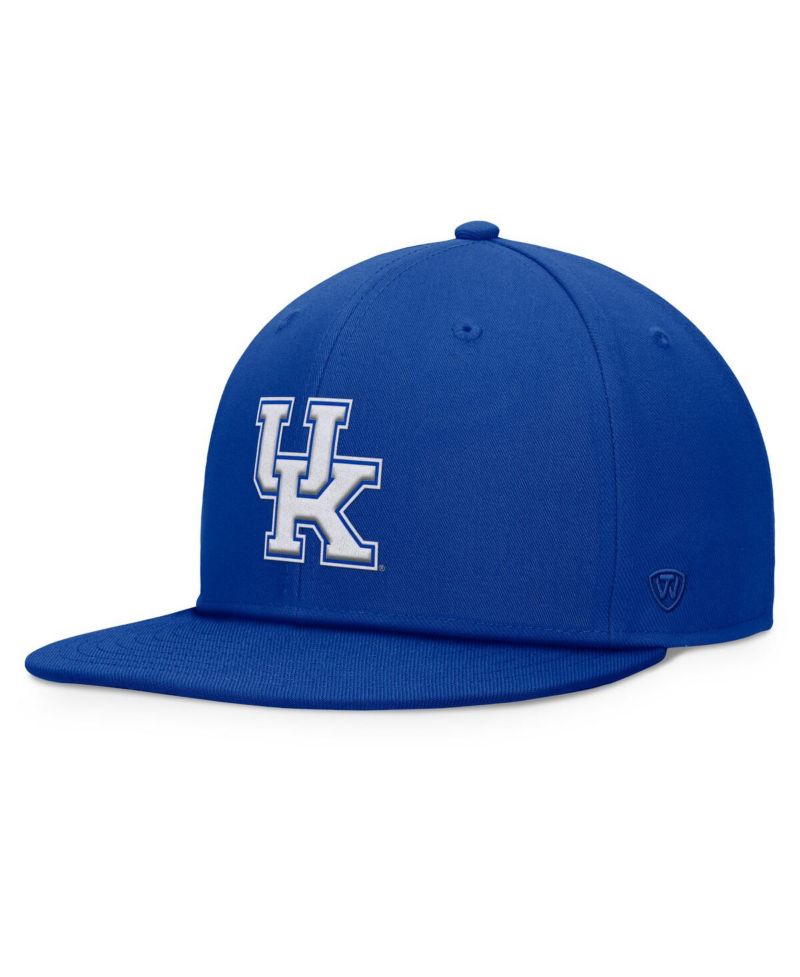 Men's Royal Kentucky Wildcats Fundamental Snapback Hat