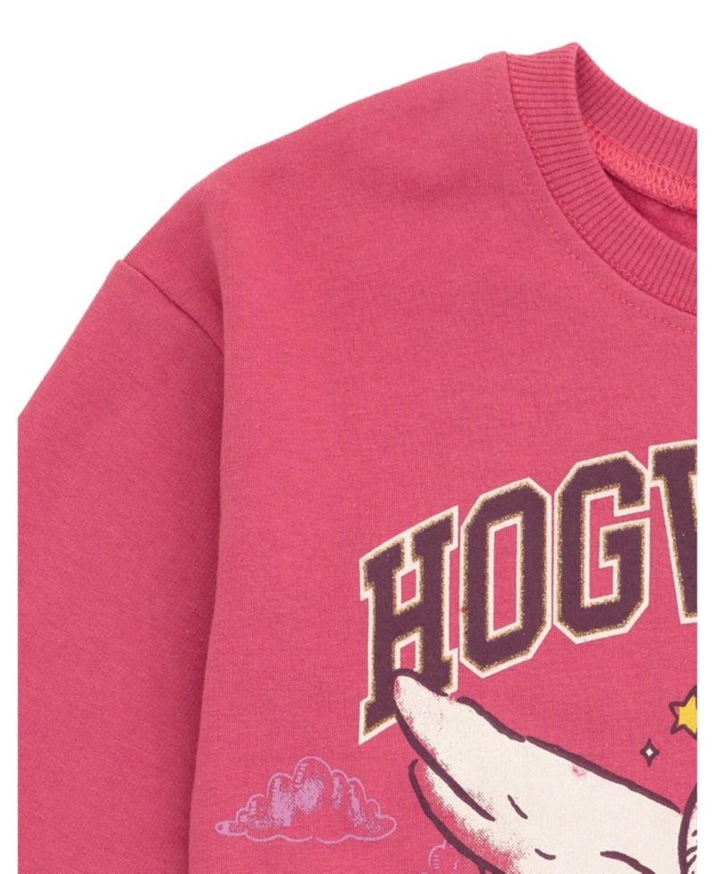 Girls Hedwig Fleece Sweatshirt and Pleated Skirt to (4 - 14-16)