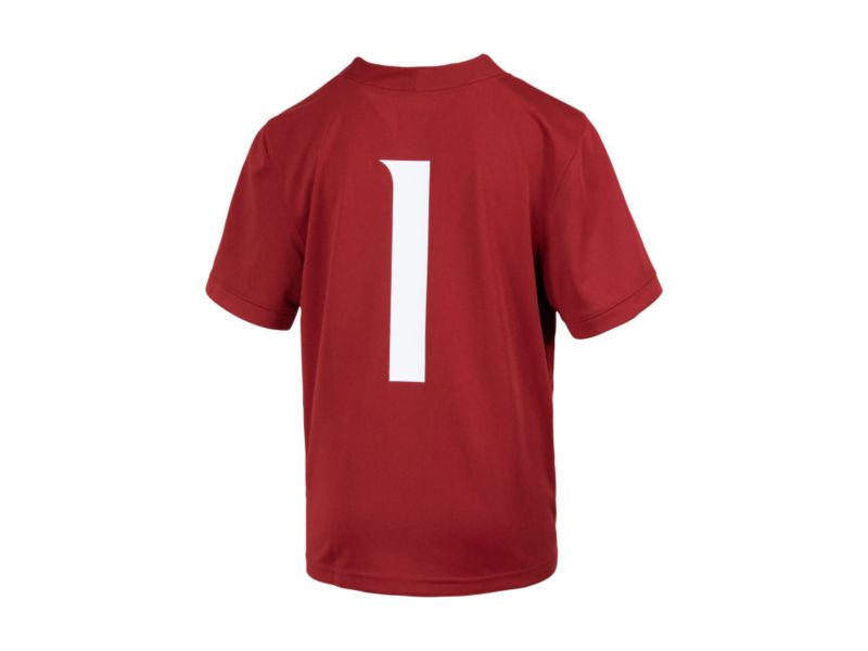 Washington State Cougars Big Boys and Girls Replica Football Game Jersey