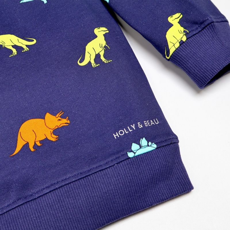 Little Boys Dinosaur Cotton Crew Neck Sweatshirt