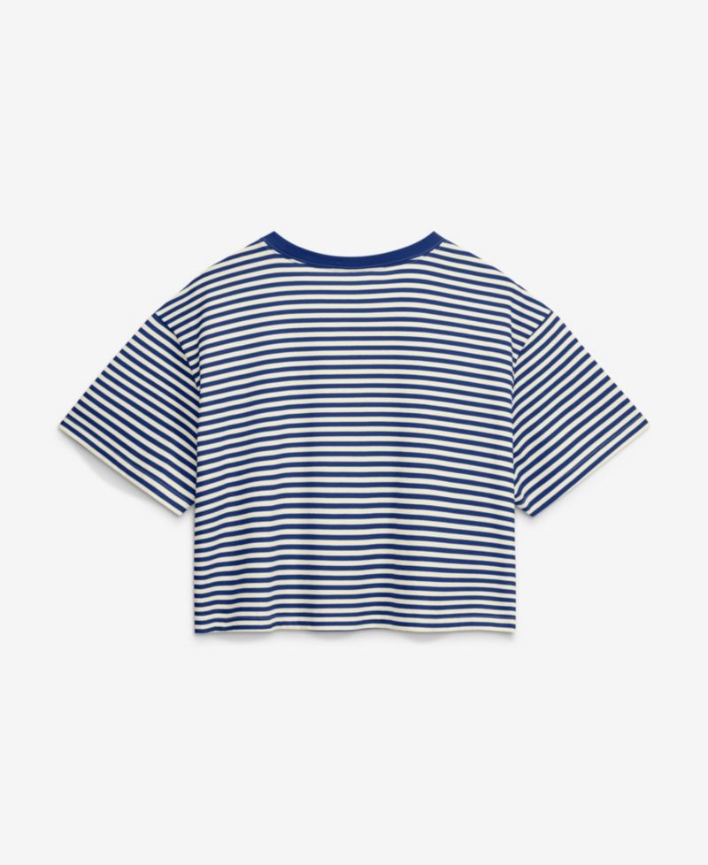 Women's Royal/Cream Texas Rangers Cooperstown Collection Striped Cropped T-Shirt