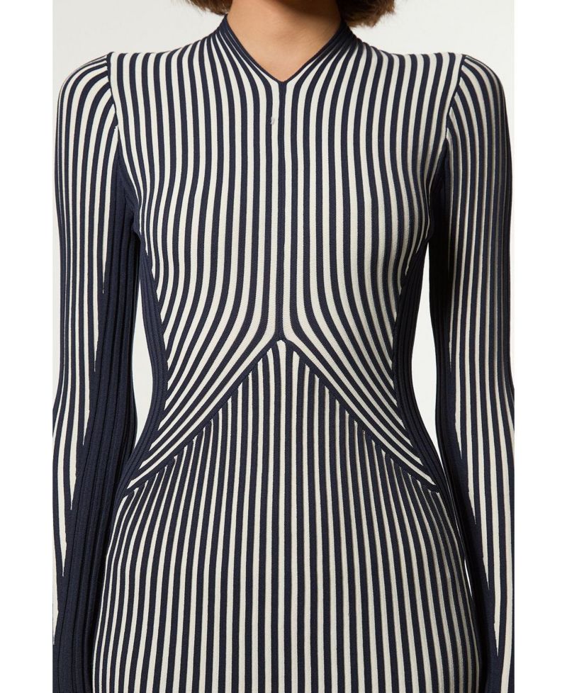 Women's Fitted Long Sleeve Midi Dress
