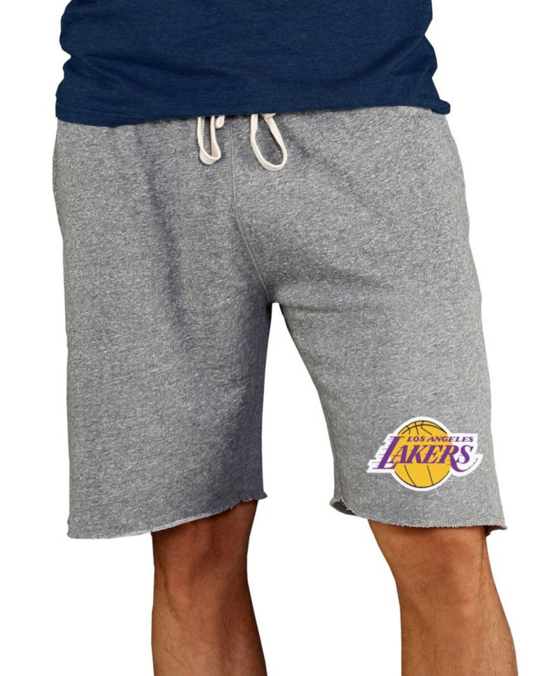 Men's Gray Los Angeles Lakers Mainstream Terry Shorts
