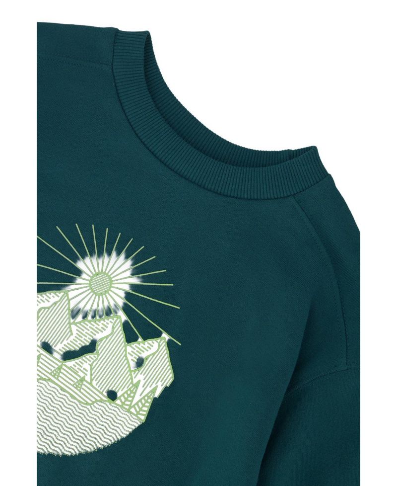 Little and Big Boy (6 - 12) Fleece Sweatshirt Forest
