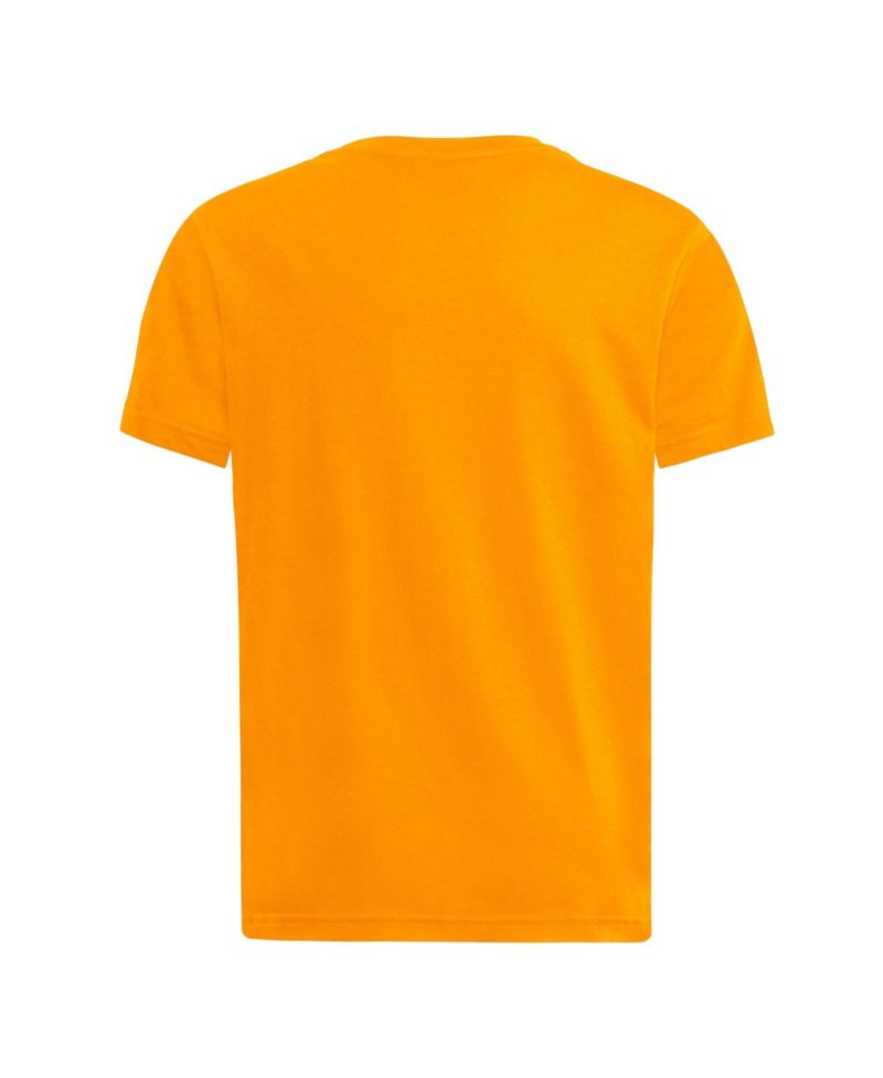 Big Boys and Girls Tennessee Orange Tennessee Volunteers Go Orange Go Fresh T-Shirt