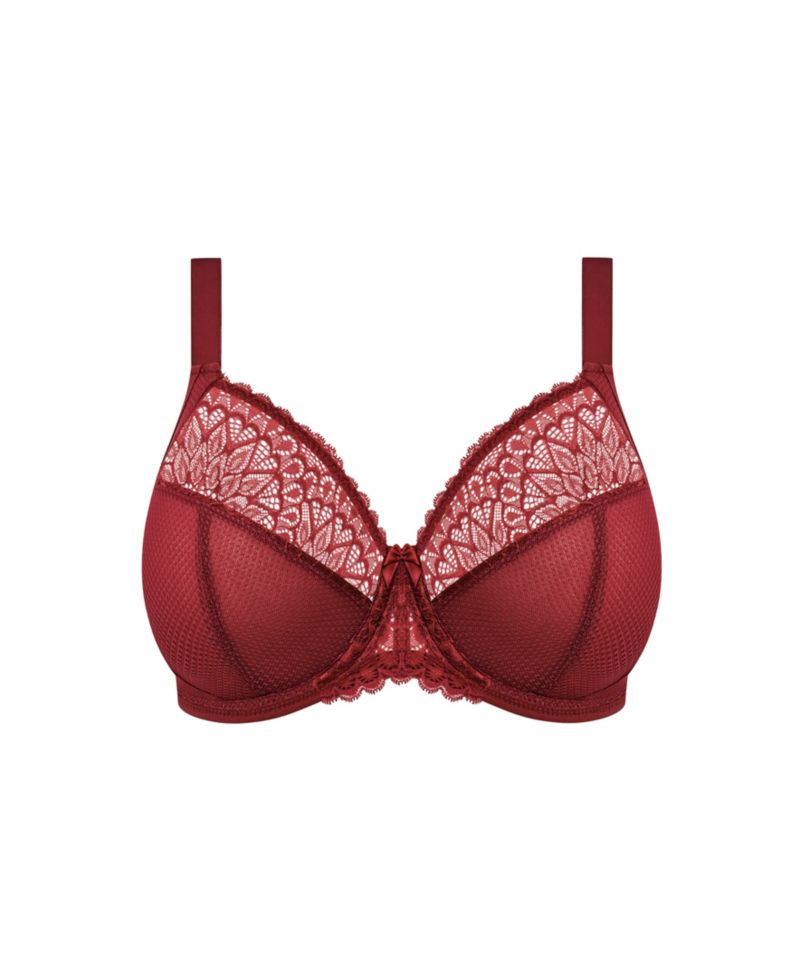 Tiernie Plus Size Plunge Bra EL303334