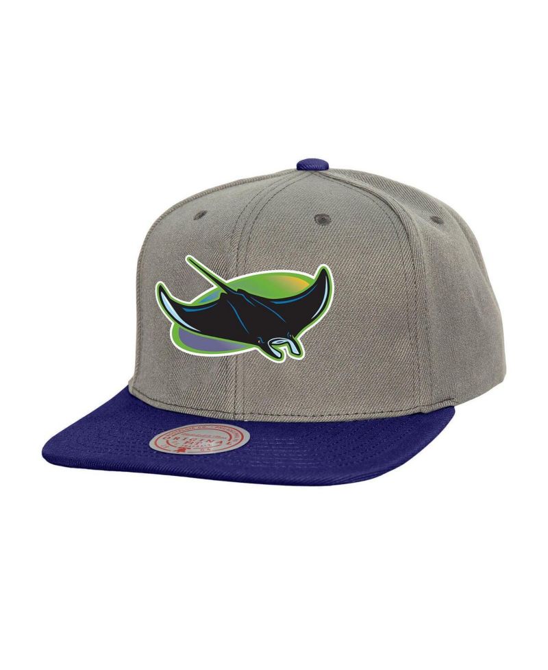 Men's Gray Tampa Bay Rays Cooperstown Collection Basic Flip Snapback Hat