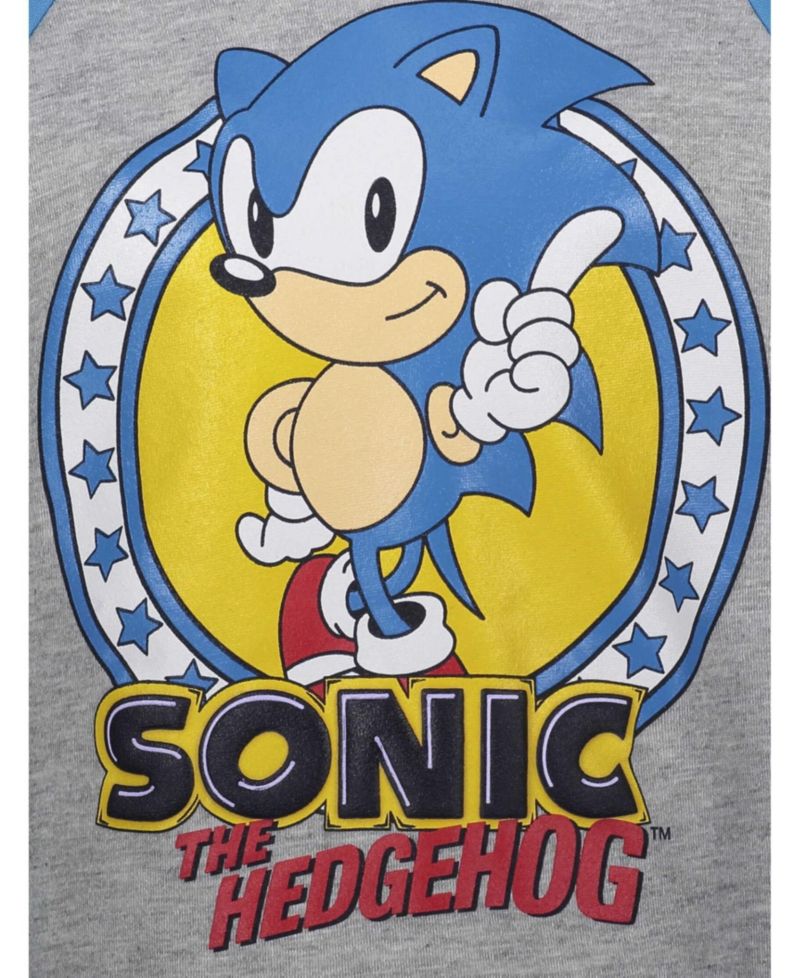 Sonic the Hedgehog Boys' 4-20 Fleece Hoodie